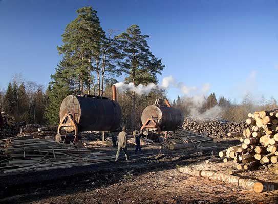 производство древесного угля рядом с деревообрабатывающими предприятиями